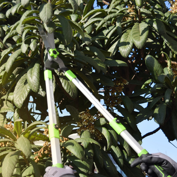 Hochwertige Aluminium-Teleskop-Gartenschere für präzises Schneiden | KSEIBI