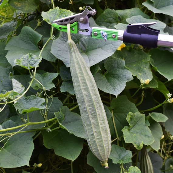 Descubre las mejores tijeras de jardín largas de aluminio | KSEIBI