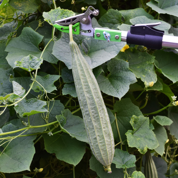 "Premium Aluminium Long Garden Shear Cut &amp; Hold for Precision Trimming | KSEIBI"