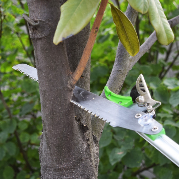 "Premium Aluminium Long Garden Shear Cut &amp; Hold for Precision Trimming | KSEIBI"