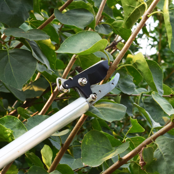 Tesoura de Jardim Longa em Alumínio para Cortar e Segurar | KSEIBI